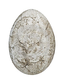 Dinosaur egg