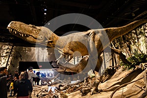 Dinosaur Exhibits at Royal Tyrrell Museum in Drumheller, Canada