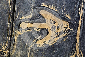 Dinosaur footprint, Close up of Excavating dinosaur fossils