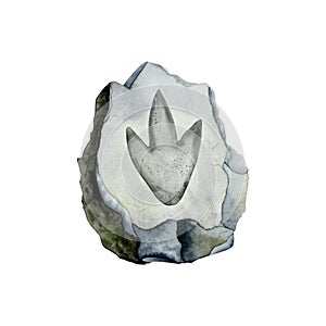 Dinosaur footprint fossil on grey stone. Predeator Paw in stone. Realistic watercolor illustration