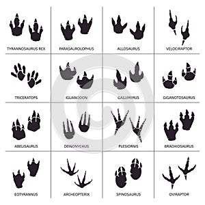 Dinosaur footprint. Reptile foot anatomy, ancient predator animals footprint tracks, paleontology dino traces vector