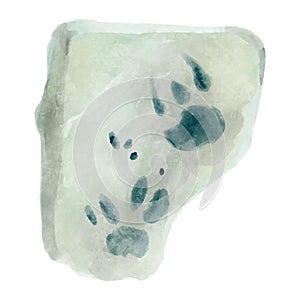 Dinosaur footprint in rock . Watercolor paint design . Vector