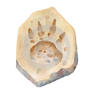 Dinosaur footprint in rock . Watercolor paint design . Vector