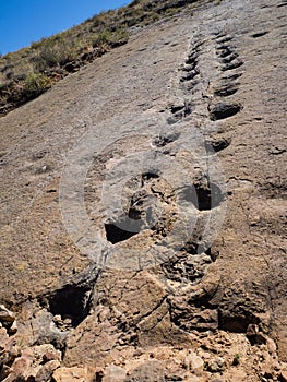 Dinosaur footprint in Toro Toro, Bolivia