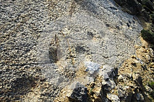 Dinosaur footprint trail