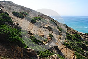 Dinosaur footprints in Cabo Espichel, Portugal.