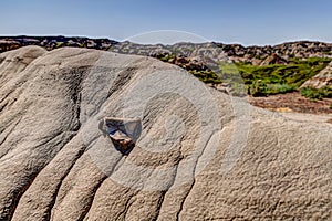 Dinosaur fossils scattered on the ground in Alberta`s Dinosaur Provincial Park