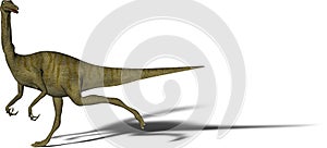 Dinosaur Gallimimus