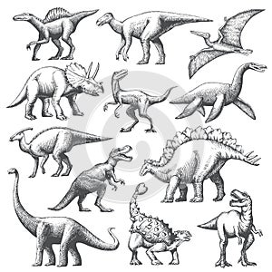 Dinosaur grafic hand drawn illustration set