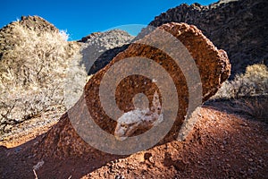 Dinosaur head fossil in Charyn Canyon