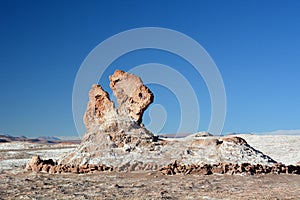 Dinosaur Head rock formation. Valle de la Luna or Moon Valley. San Pedro de Atacama. Chile