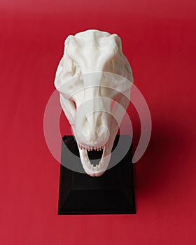 Dinosaur head shaped cnc router.