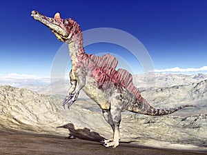 Dinosaur Ichthyovenator