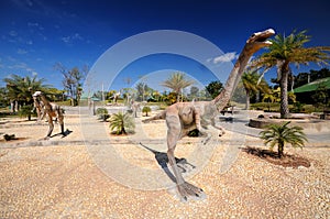 Dinosaur photo