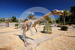 Dinosaur photo