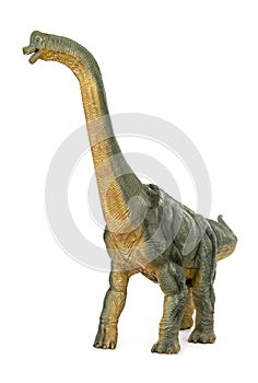 Dinosaur long necked sauropod diermibot breed name Brachiosaurus