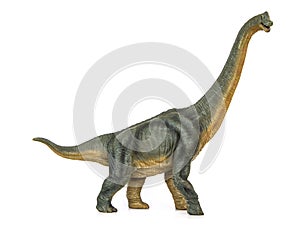 Dinosaur long necked sauropod diermibot breed name Brachiosaurus photo
