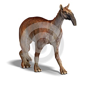 Dinosaur Macrauchenia