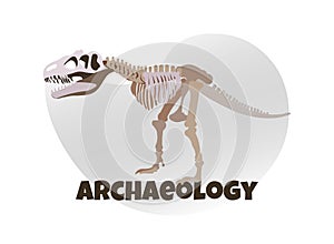 Dinosaur Mockup on White Background. Anthropology. photo