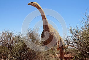 Dinosaur model photo