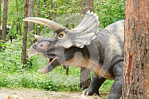 dinosaur model Triceratops in Dinosaur Park