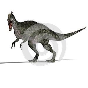 Dinosaur Monolophosaurus