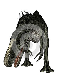 Dinosaur Monolophosaurus