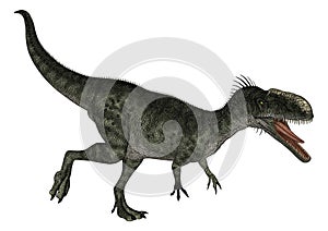 Dinosaur Monolophosaurus