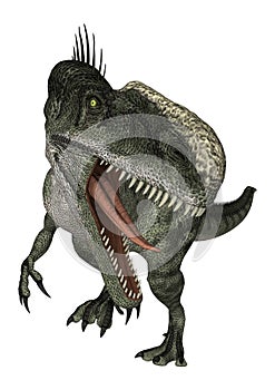 Dinosaur Monolophosaurus