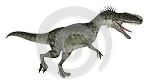 Dinosaur Monolophosaurus