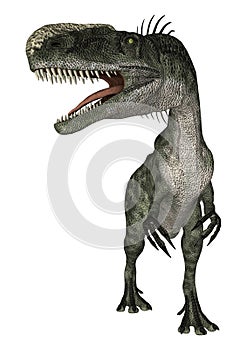 Dinosaur Monolophosaurus