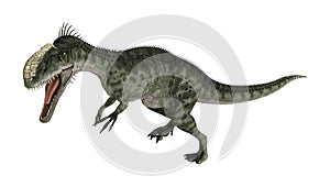 Dinosaur Monolophosaurus