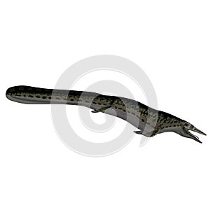 Dinosaur Mosasaur