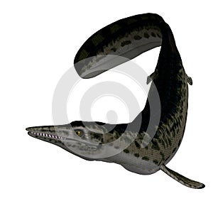 Dinosaur Mosasaur