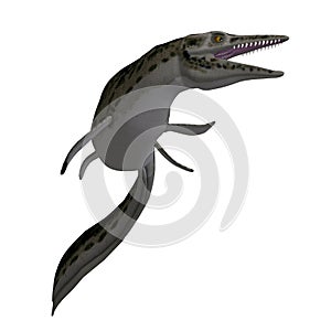 Dinosaur Mosasaur