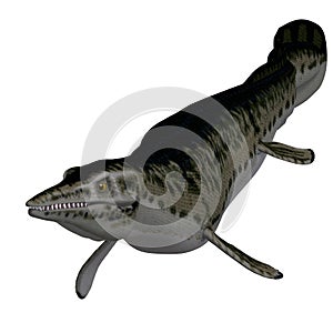 Dinosaur Mosasaur