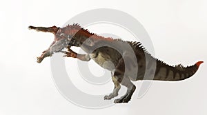 A Dinosaur Named Baryonyx, Meaning Heavy Claw