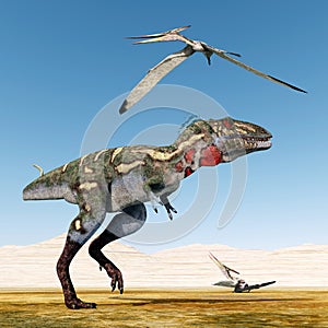 Dinosaur Nanotyrannus and Pterosaur Pteranodon