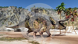 Dinosaur Nasutoceratops at the beach