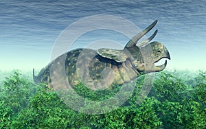 Dinosaur Nasutoceratops in the forest