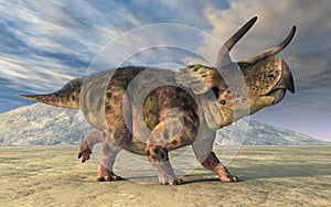 Dinosaur Nasutoceratops in a landscape