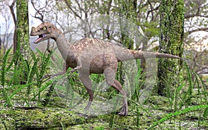 Dinosaur Ornitholestes In Forest