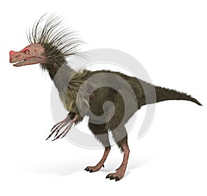 Dinosaur Ornitholestes