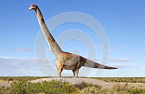 Dinosaur, Patagotitan mayorum, Patagonia, Argentina