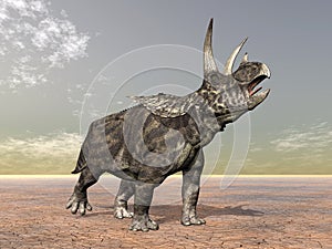 Dinosaur Pentaceratops