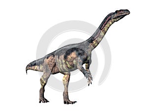 Dinosaur Plateosaurus