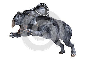 Dinosaur Protoceratops