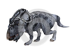 Dinosaur Protoceratops on White