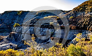 Dinosaur Provincial Park Alberta Canada