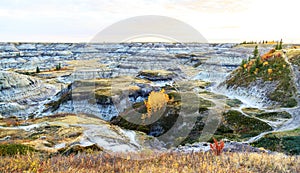 Dinosaur Provincial Park